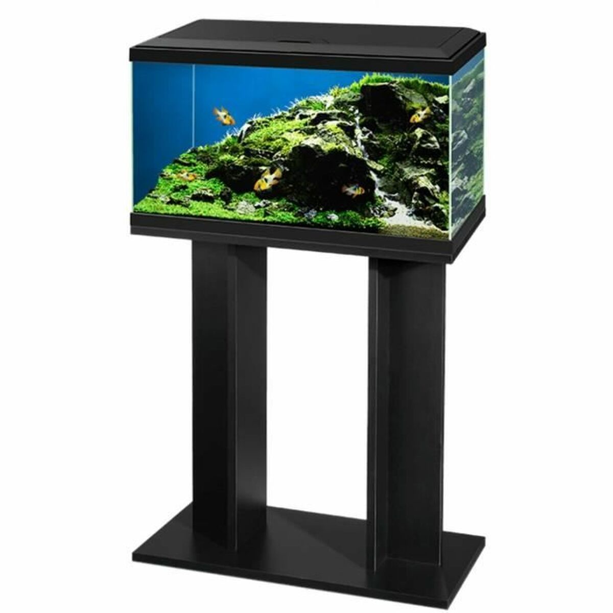 Ondergronden voor aquaria