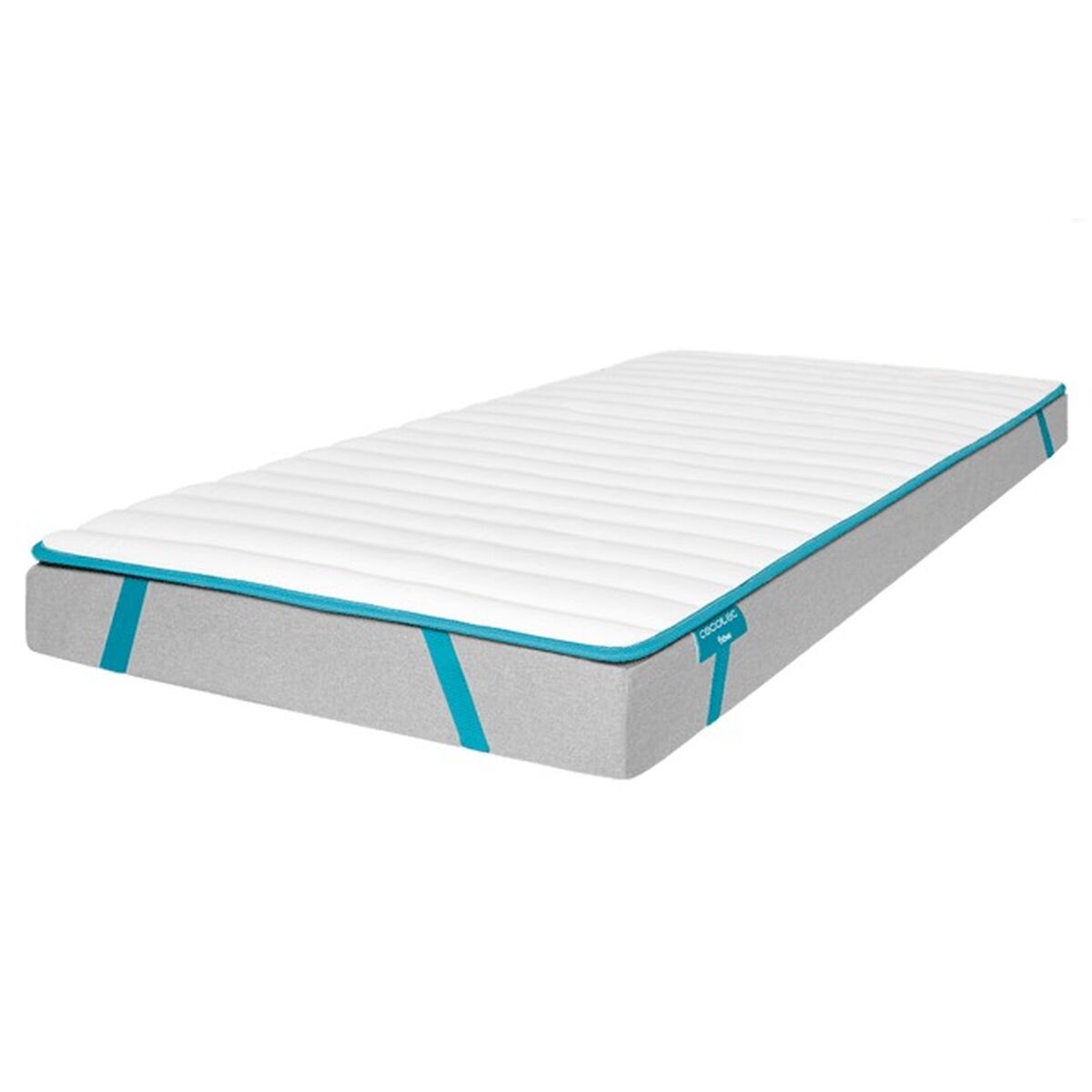 Beddenbodems