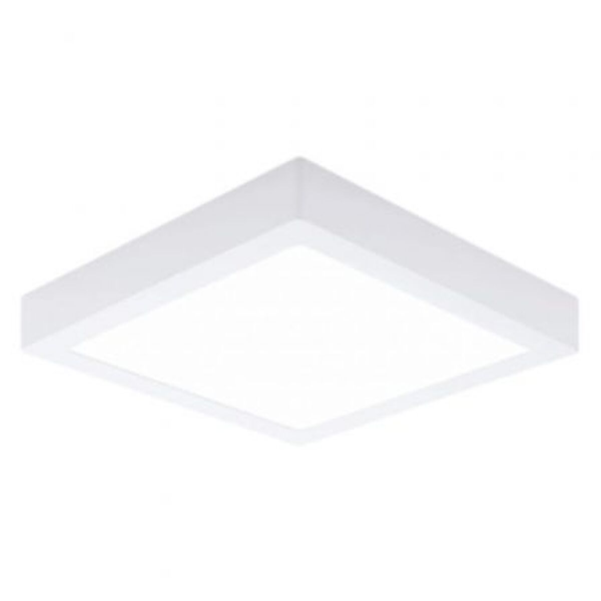 Spots en lichtbalken